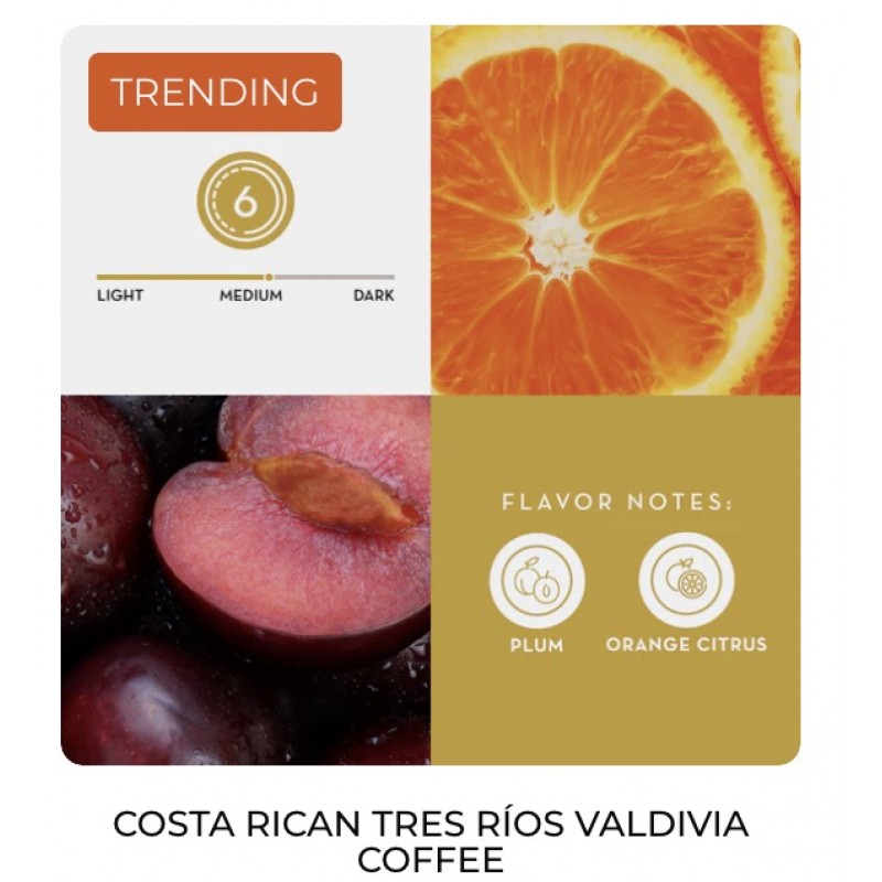 Café Britt® - Kostarikas kafijas komplekts 5xORIGIN (340 GR.) (5 iepakojumi + dāvana) (kafija no: Poas, Tres Rios, Tarrazú, Naranjo un Monteverde) - veselas pupiņas, Arabica kafija, košera, bezglutēna, gardēžu un vidēji gaiša un tumša grauzdējuma